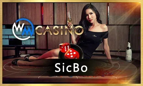 Live Dealer Experience